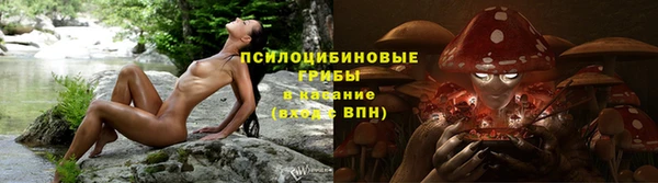 мяу мяу мука Навашино