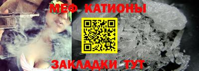 индика Кингисепп