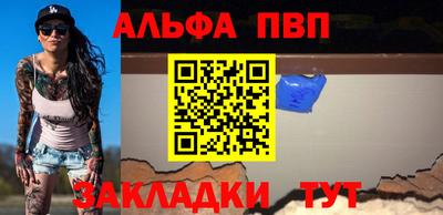 индика Кингисепп
