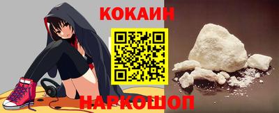индика Кингисепп