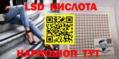 индика Кингисепп