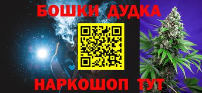 индика Кингисепп