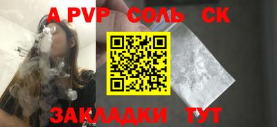 индика Кингисепп