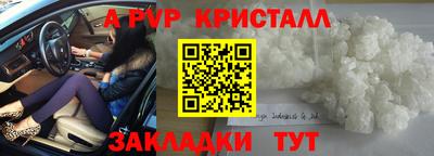 гашик Кимры
