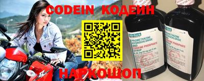 индика Кингисепп