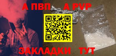 индика Кингисепп