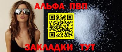 индика Кингисепп
