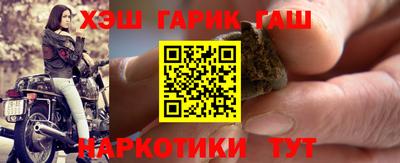 индика Кингисепп