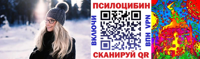 мега онион Раменское Псилоцибиновые грибы Magic Shrooms