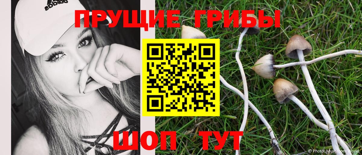 Псилоцибиновые грибы Magic Shrooms  Галлюциногенные грибы мухоморы  Раменское 