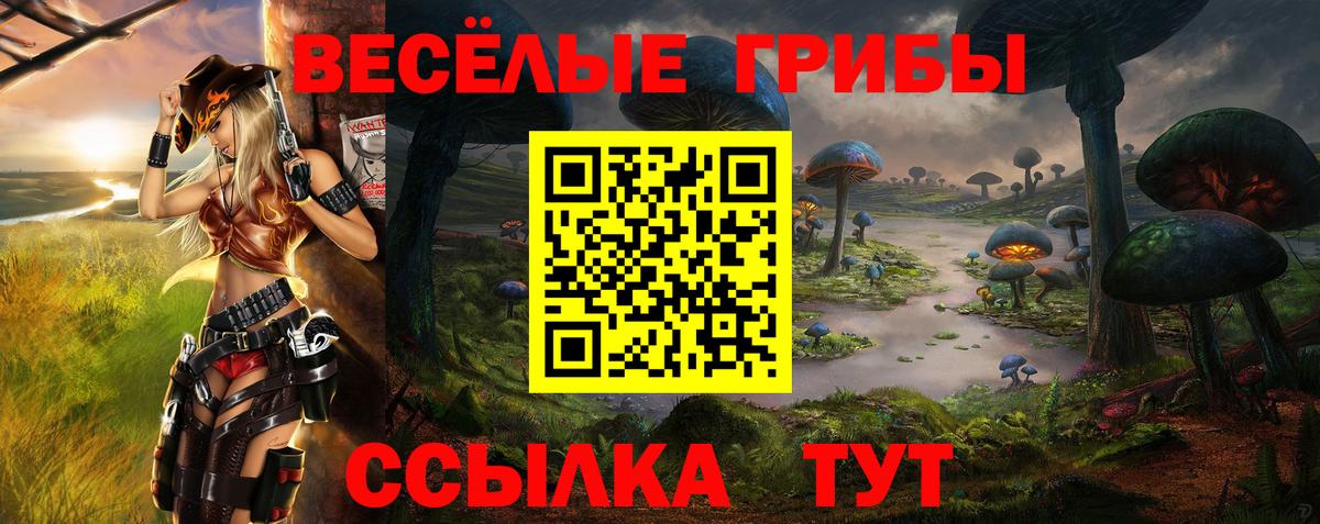 Раменское  Псилоцибиновые грибы MAGIC MUSHROOMS  Вход с VPN 