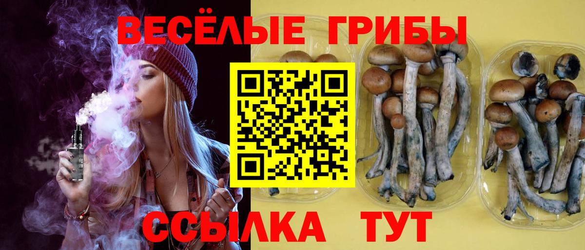 Галлюциногенные грибы Cubensis Раменское
