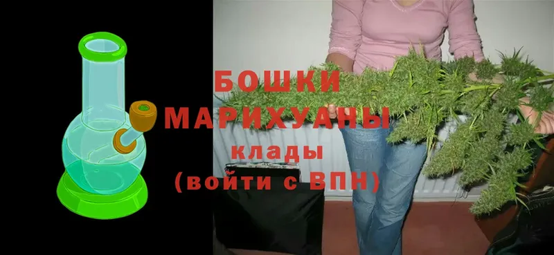 Бошки марихуана LSD WEED  где купить наркотик  Раменское 