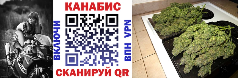 Бошки Шишки гибрид закладка Раменское